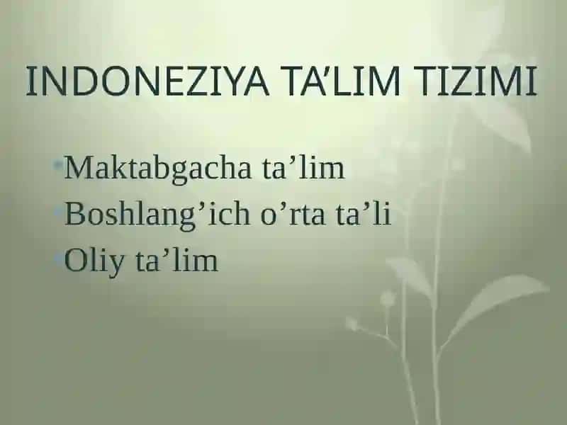 INDONEZIYA TA’LIM TIZIMI 2