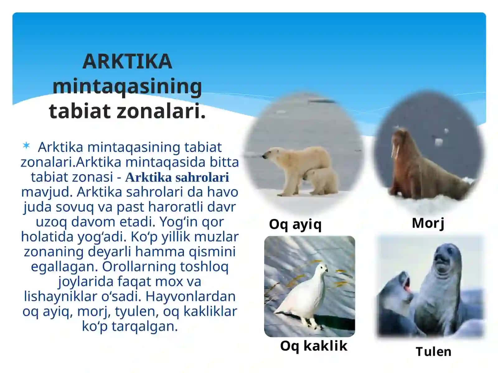 Arktika mintaqasining tabiat zonalari 2
