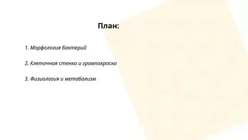 Бактерии 2