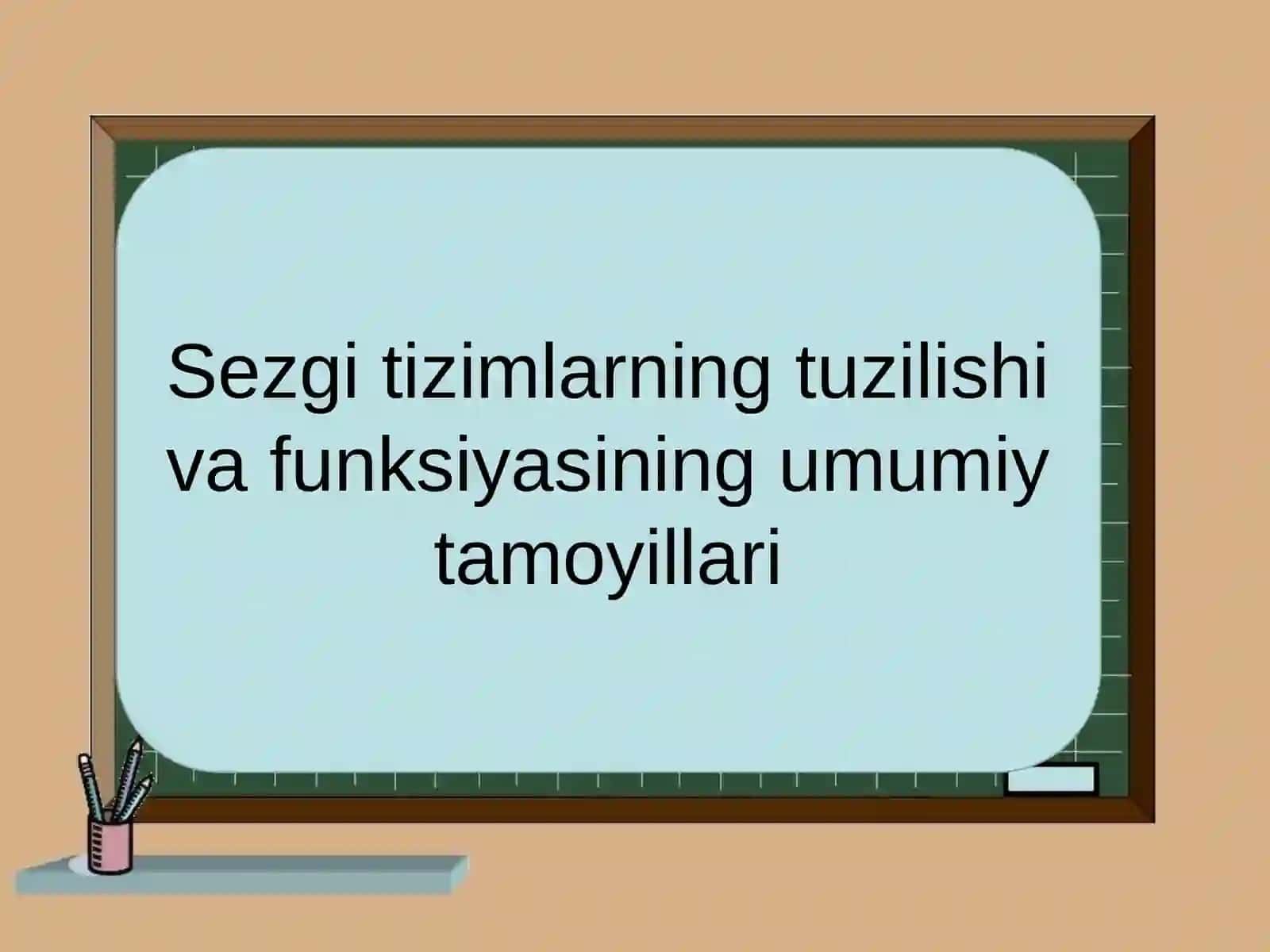 Sezgitizimlarning tuzilishi va funksiyasi 2