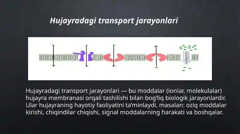 Hujayradagitransportjarayonlari 2
