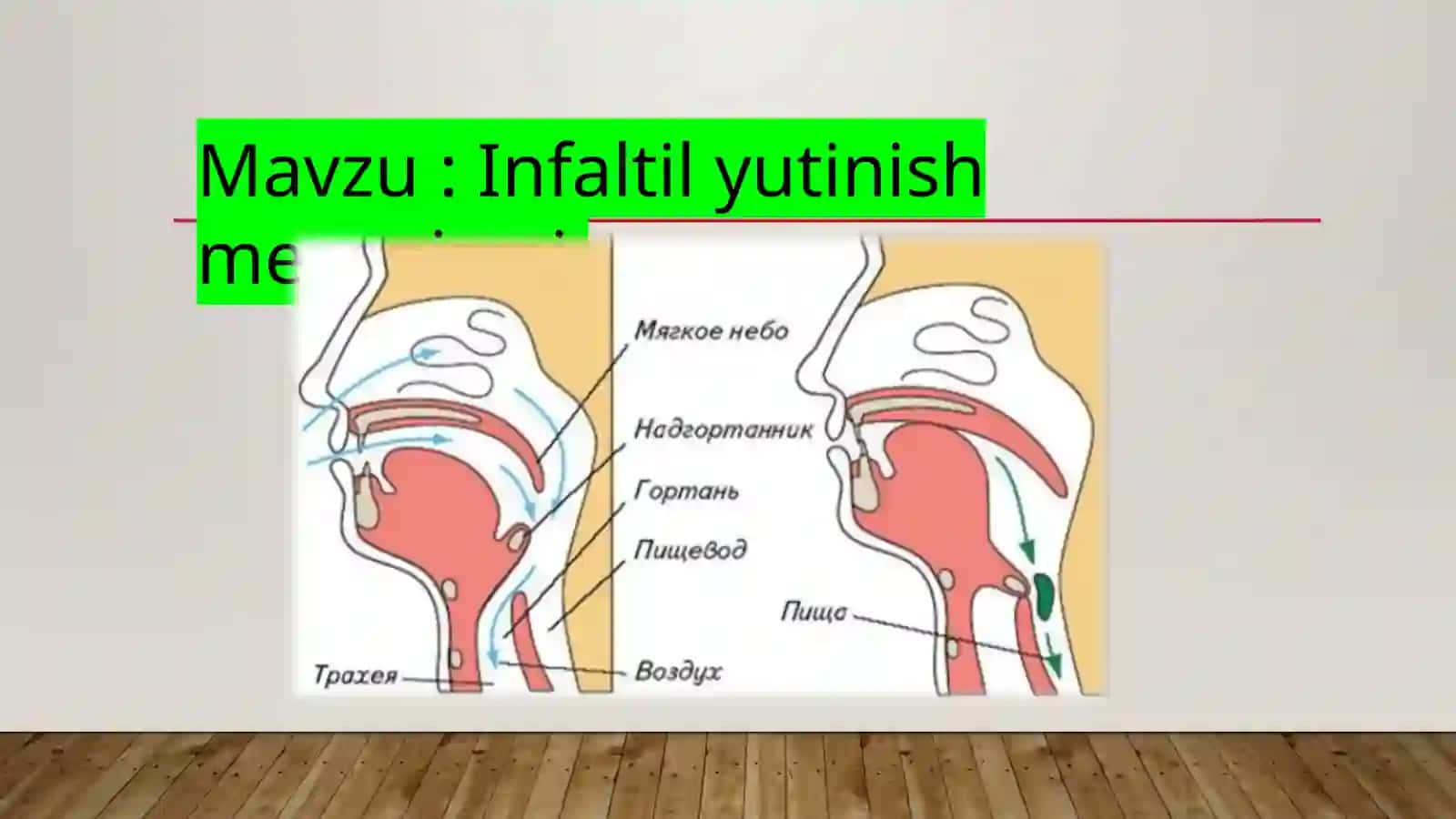 Infaltil yutinish mexanizmi 2