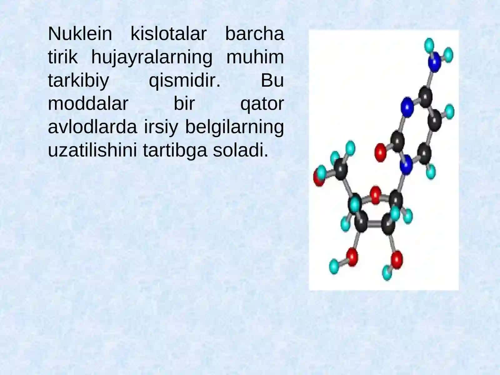 Nuklein kislotalar tuzilishi va funksiyalari. Oqsil biosintezi 2