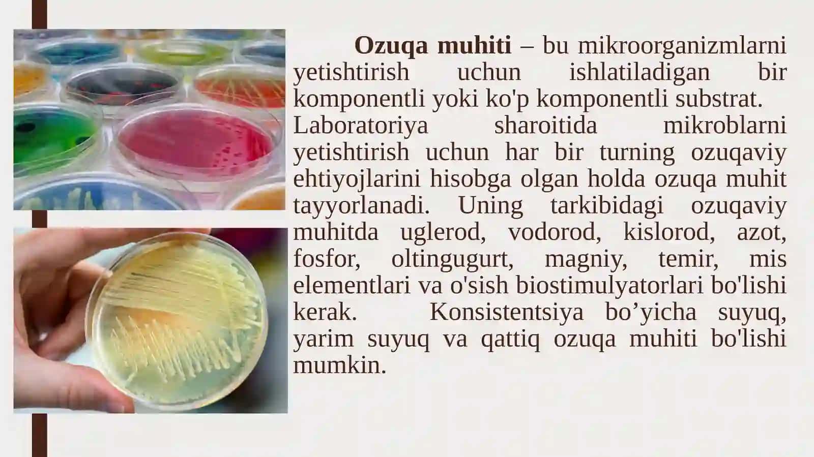OZUQA MUHITLARI 2