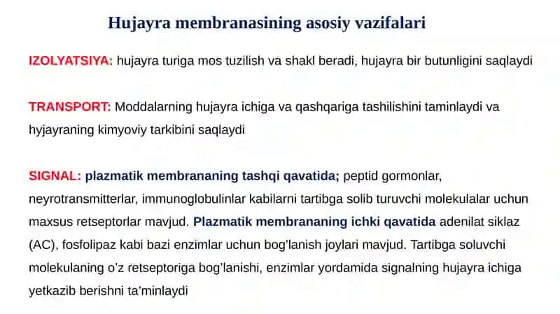 BIOMEMBRANALAR 2