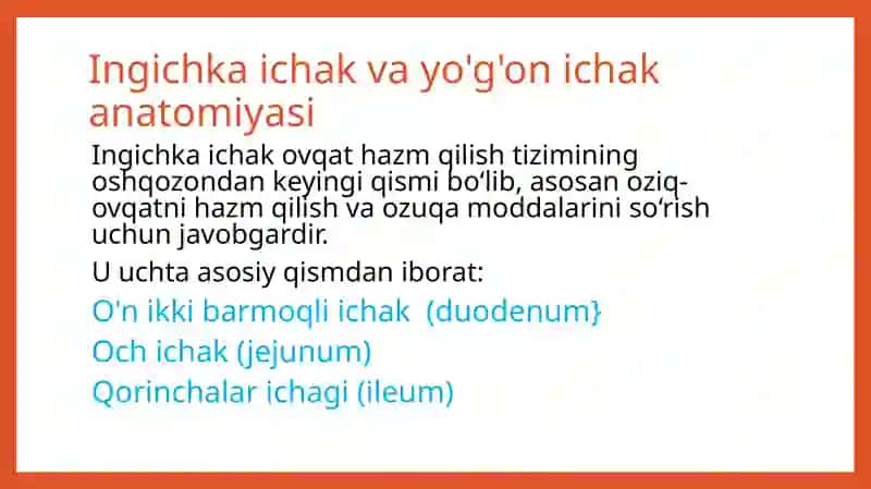 YOG'ON ICHAK VA INGICHKA ICHAK TEKSHIRISH USULLARI 2