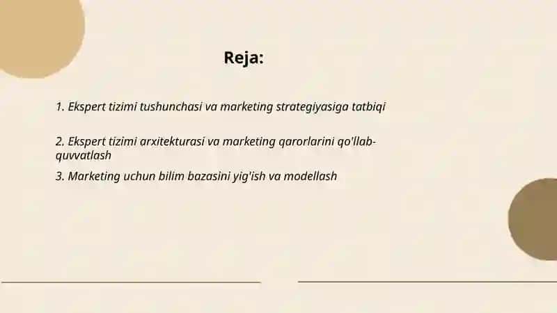 Ekspert tizimi yordamida marketing strategiyasi 2