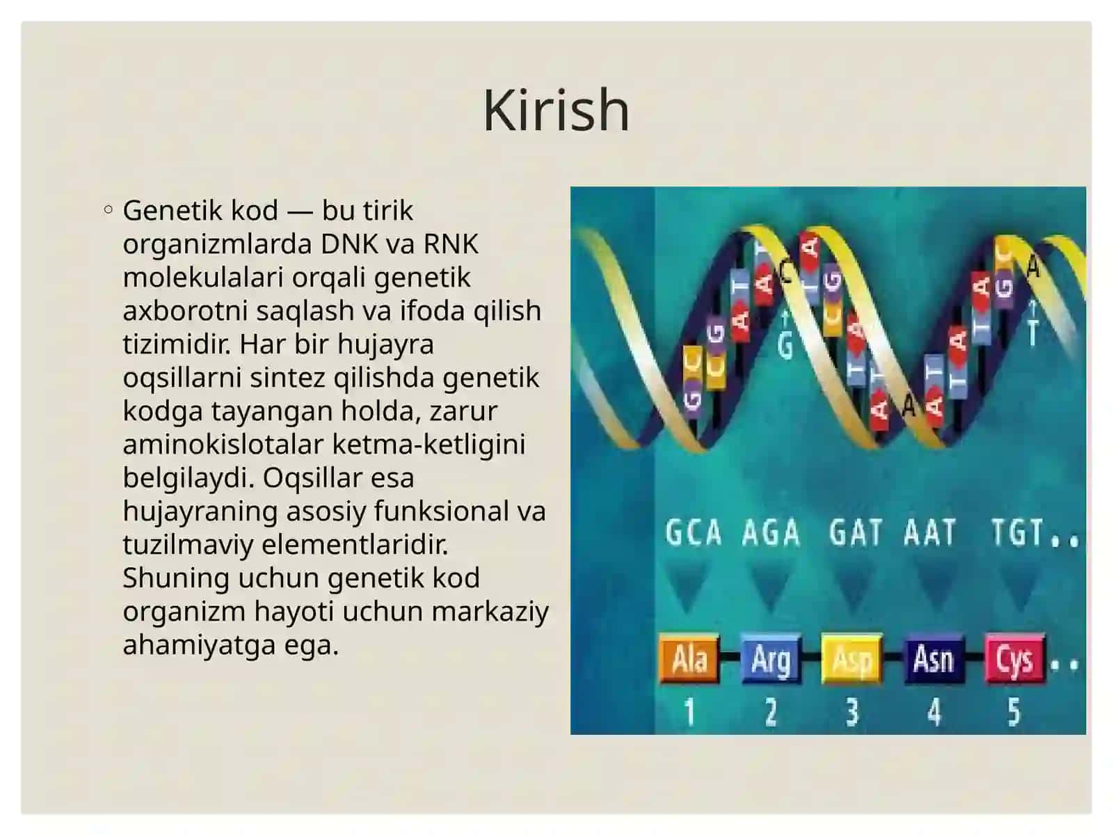 Genetik Kod va uning Translyatsiyadagi O'rni 2