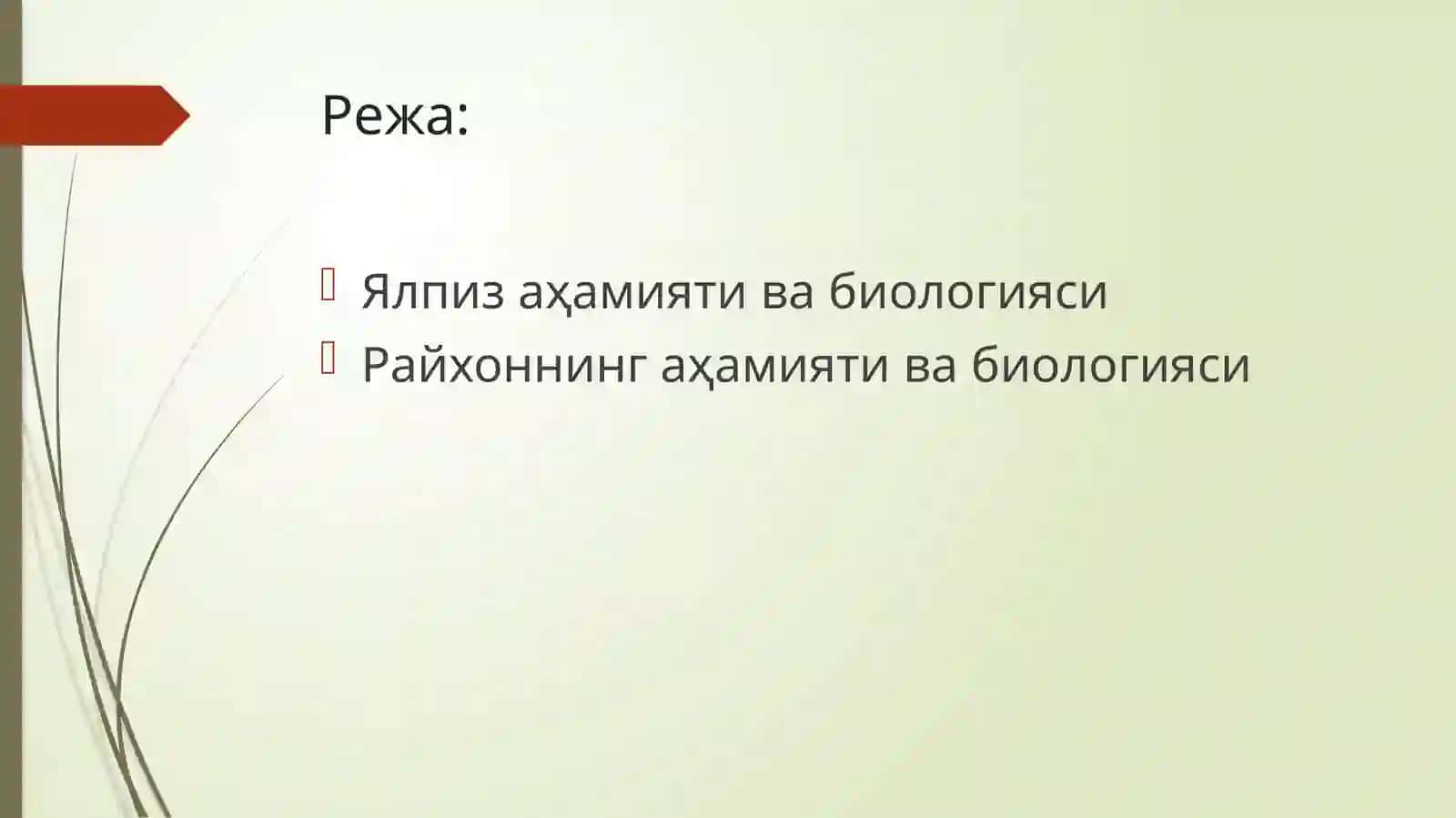 Ялпиз ва райхоннинг аҳамияти, биологияси 2