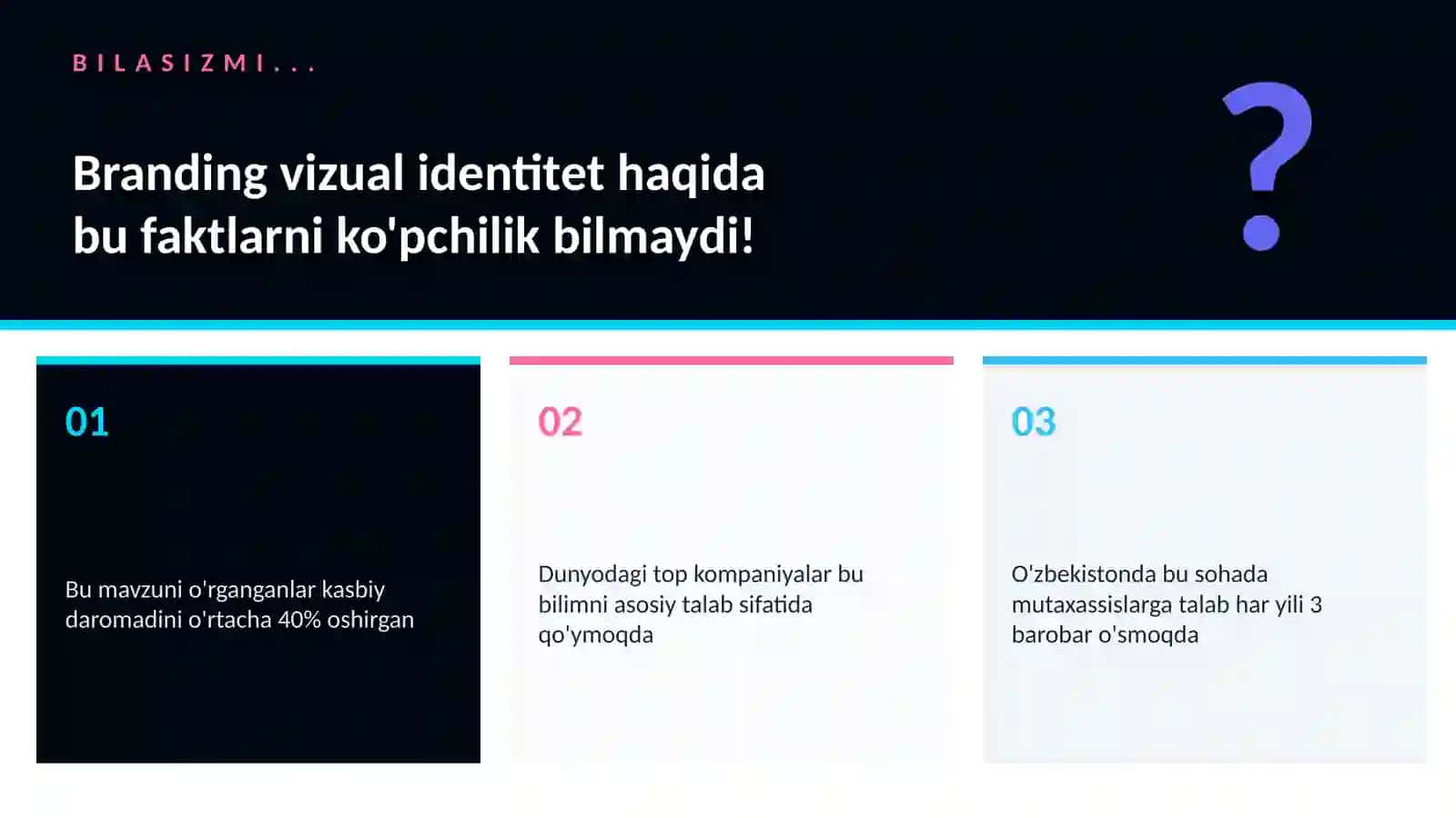 Branding vizual identitet 2