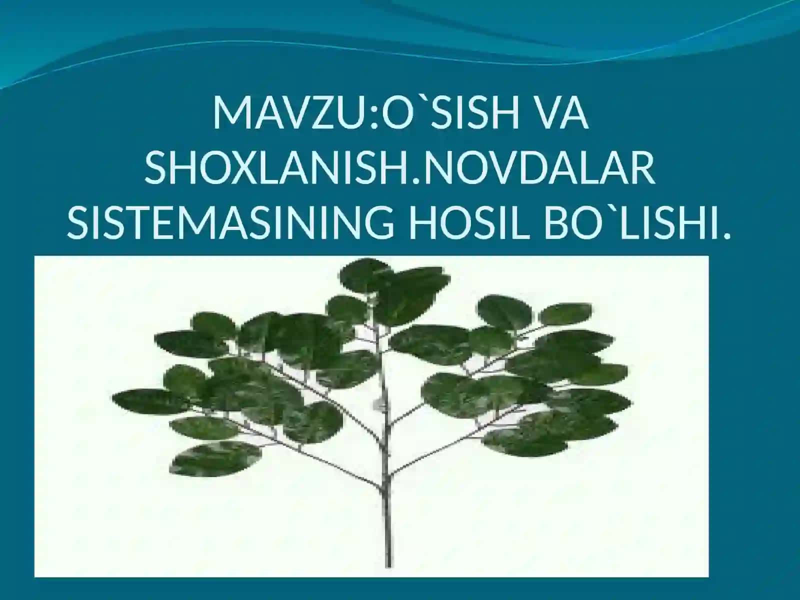 O`SISH VA SHOXLANISH 2