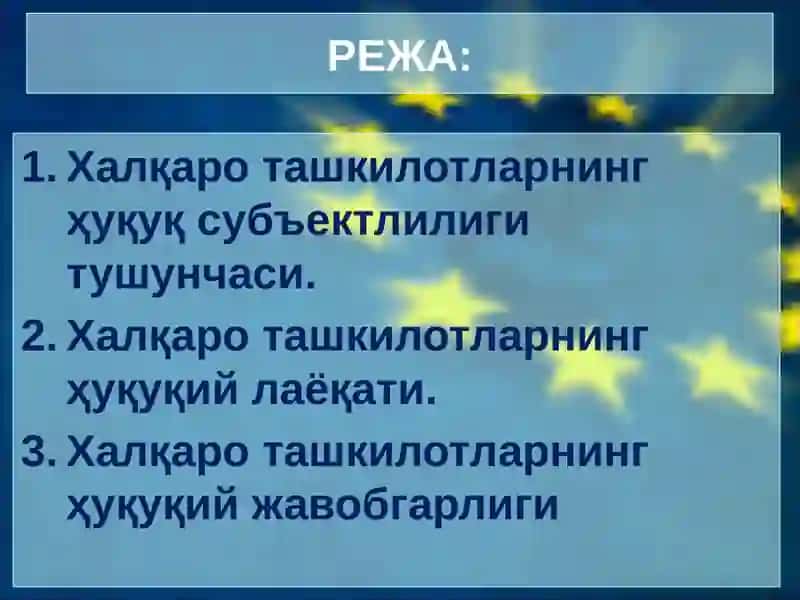 Халқаро ташкилотларнинг ҳуқуқ субъектлилиги ва халқаро-ҳуқуқийлаёқати 2