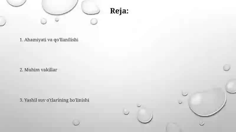 Yashil suv o'tlarining muhim vakillari 2