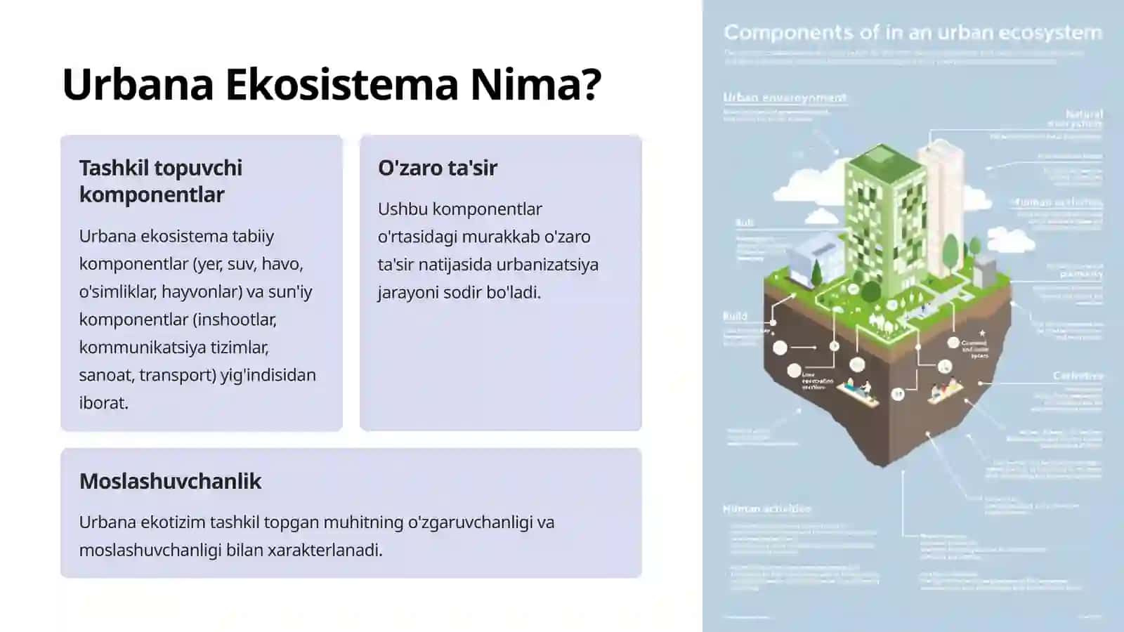 Urbana ekosistema bizulish holatlari 2