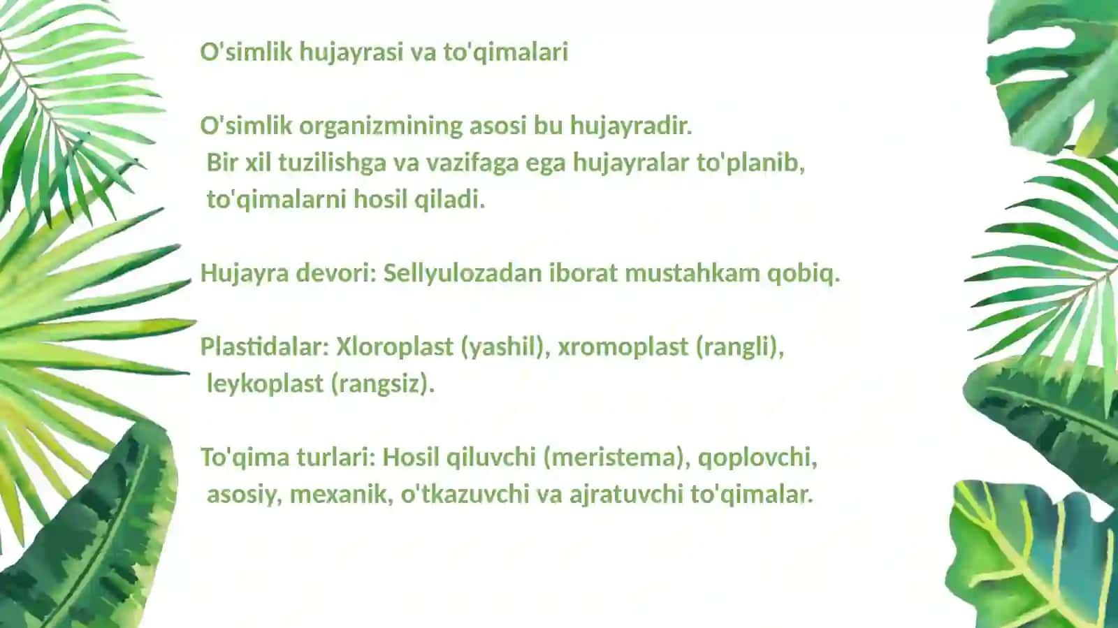 O'simlik hujayrasi va to'qimalari 2