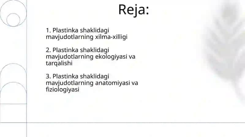 plastinkasimonlar 2