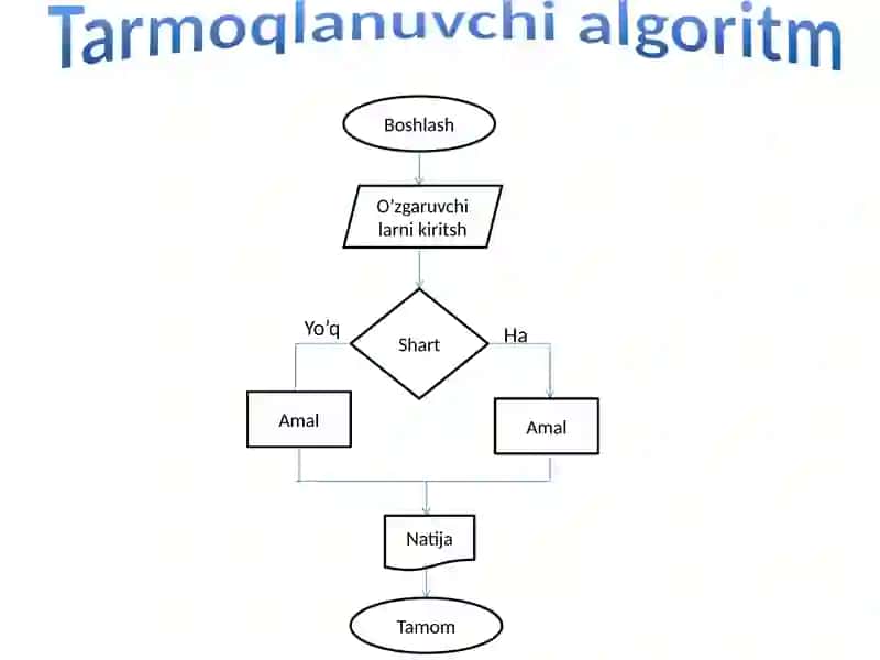 Tarmoqlanuvchi va takrorlanuvchi algoritmlar. 2