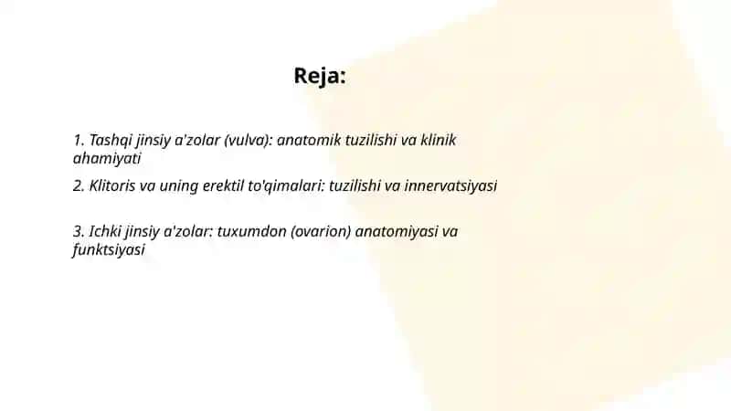 Ayollar jinsiy tizim a'zolari anatomiyasi 2