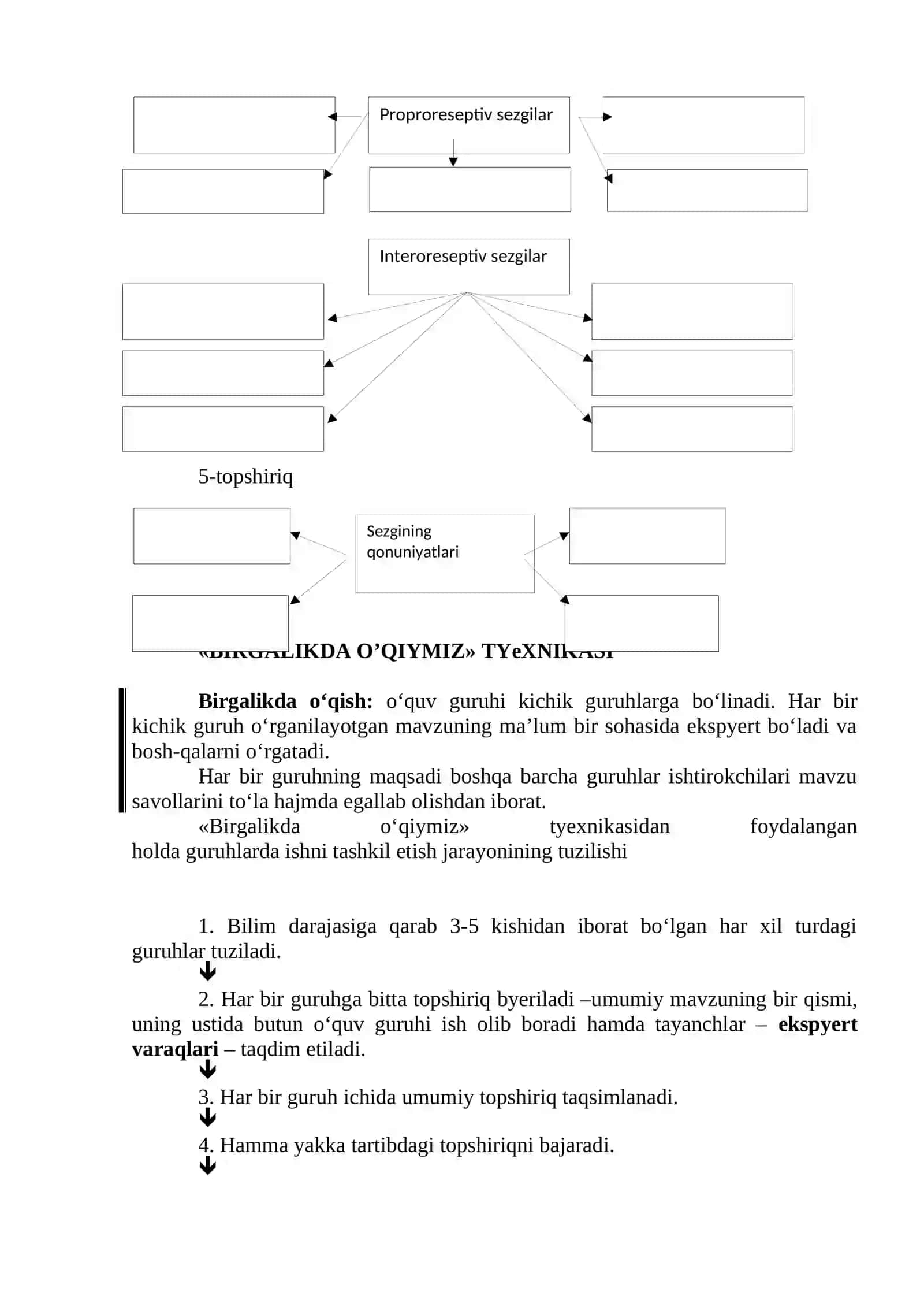 Sezgi 2