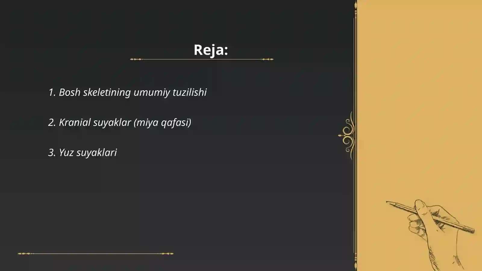 Bosh skeleti 2