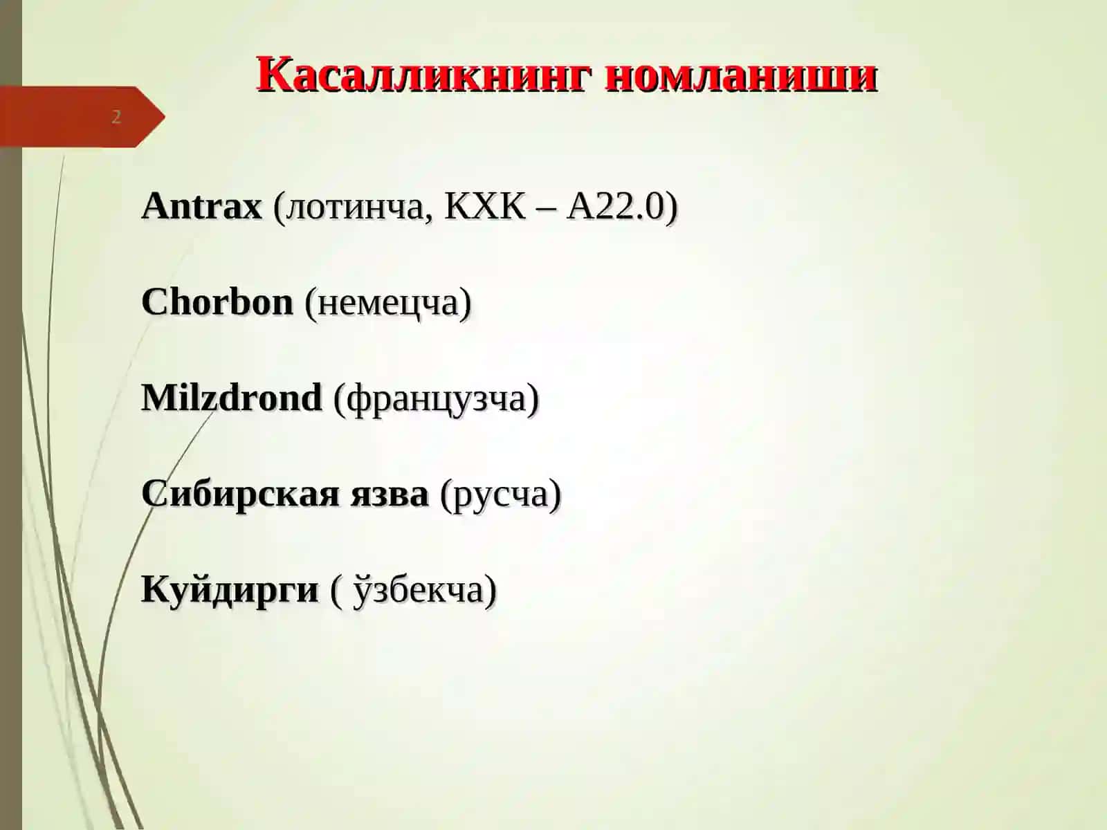 Куйдирги 2
