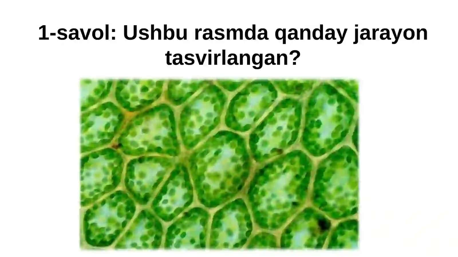 TIRIК ORGANIZMLARDA O‘Z-O‘ZINI IDORA QILISH ORGANLARI: GUMORAL VA NERV SISTEMASI EVOLYUTSIYASI 2