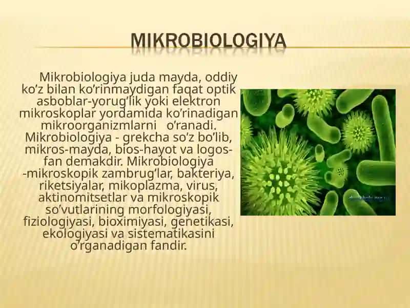 Mikrobiologiya 2