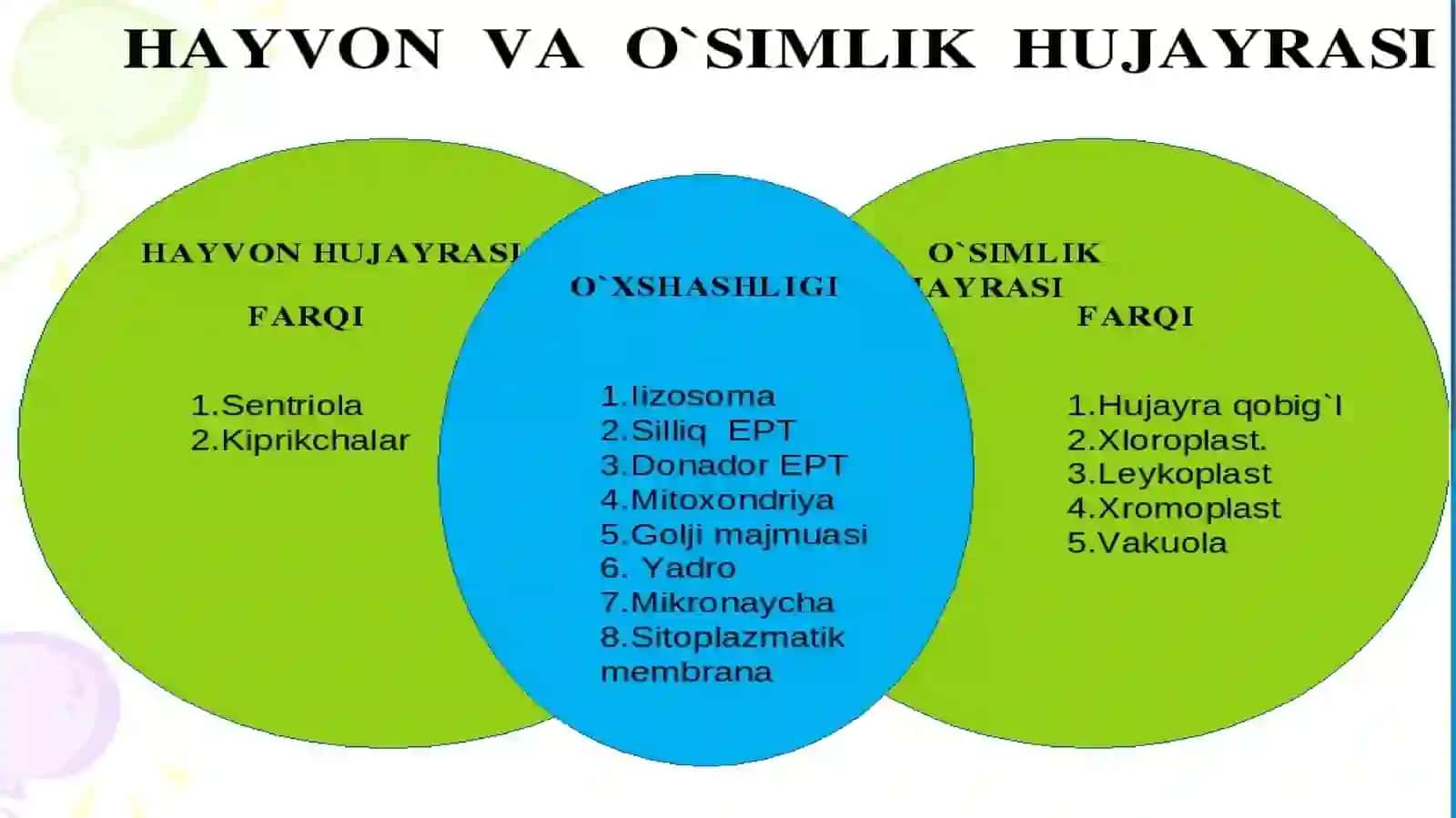 Plastidalarning o’simlik organizmidagi ahamiyati 2