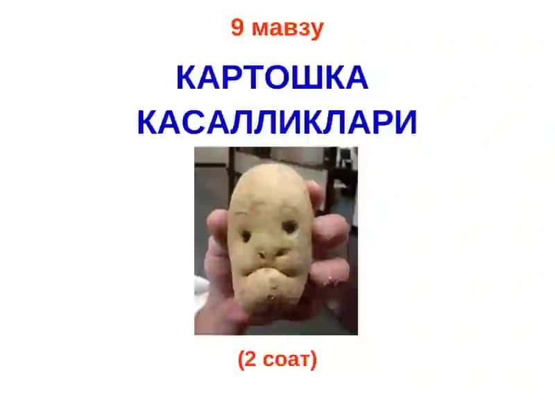 ҚИШЛОҚ ХЎЖАЛИКФИТОПАТОЛОГИЯСИ 2