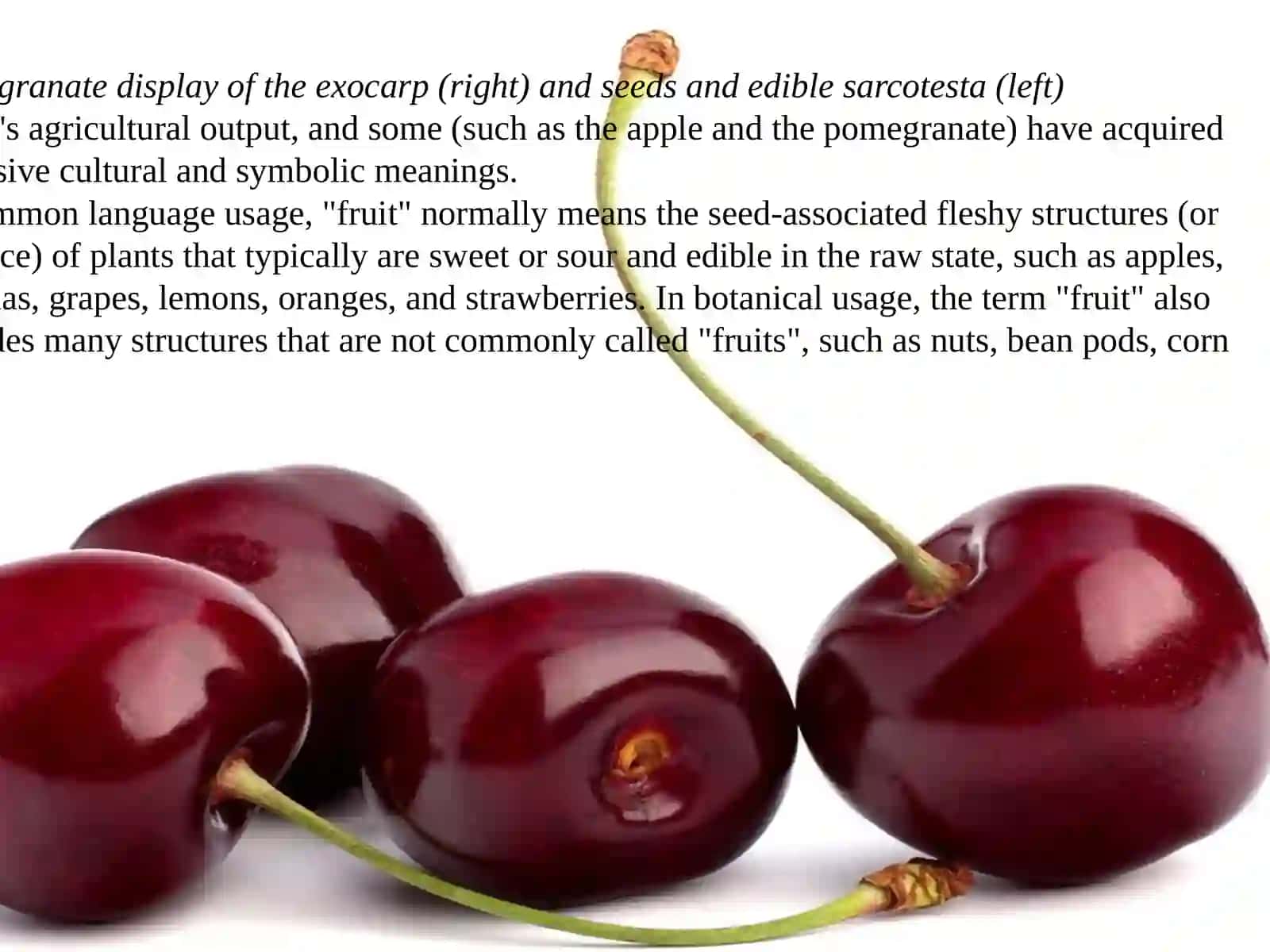 Pomegranate 2