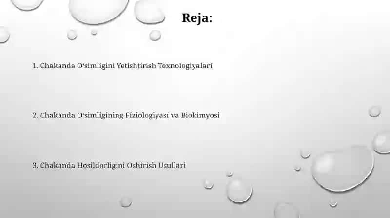 Chakanda Oʻsimligini Yetishtirish Texnologiyasi 2