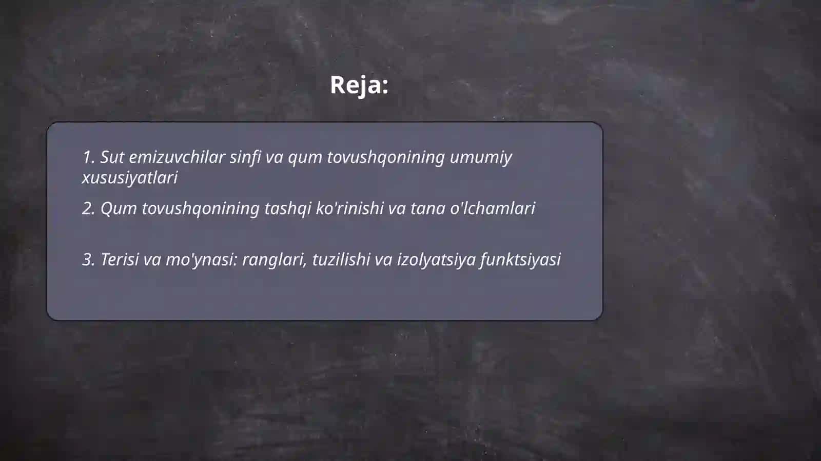 Sut emizuvchilar sinfi va qum tovushqonining umumiy xususiyatlari 2