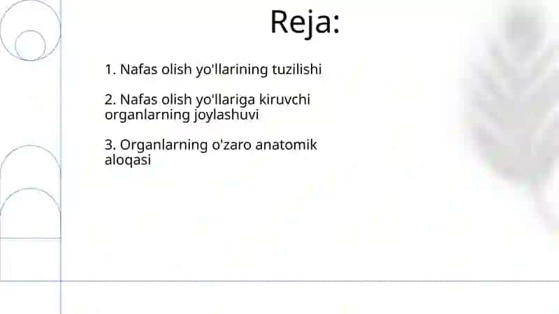 Nafas olish yo'llariga kiruvchi a'zolarni tuzilizishi joylashishi 2
