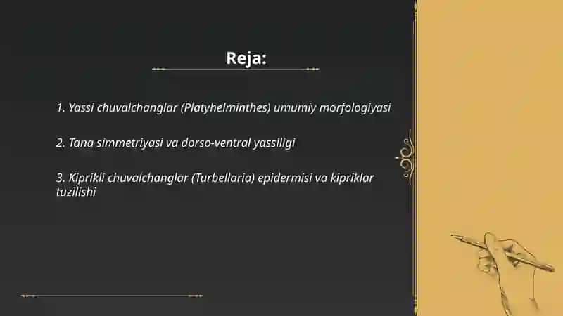 Yassi Chuvalchanglar tipi kiprikli chuvalchanglar va Sörğichlilar Sinfiga Xarakteristika bering 2