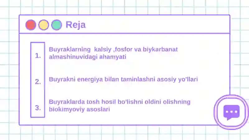 Buyrak biokimyosi 2