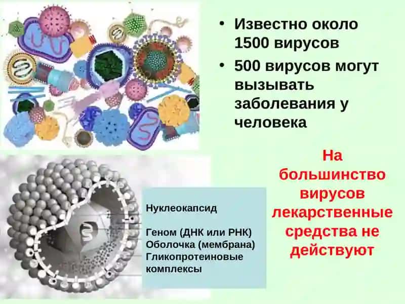 ПРОТИВОВИРУСНЫЕ СРЕДСТВА 2