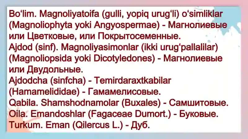 Emandoshlar (Fagaceae), Yong‘oqdoshlar (Juglandaceae) va Qayindoshlar(Betulaceae) oilasi 2