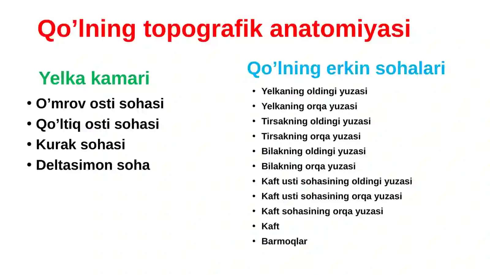 Qo‘lning topografik anatomiyasi 2