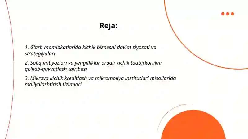 G'arb davlatlarining kichik biznes va yakka tartibdagi (xususiy) tadbirkorlikni rivojlantirish tajribasi 2