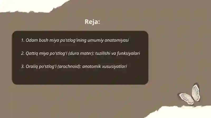 Odamlarning bosh miya po'stlog'i 2