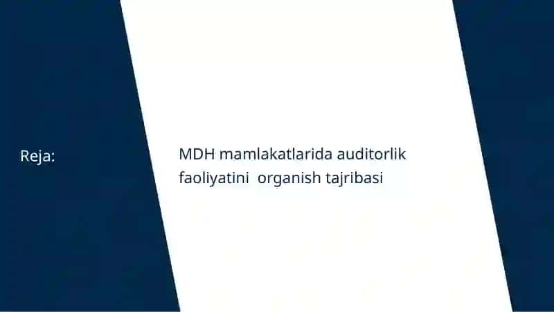 Auditorlik faoliyatini tashkil etishning Xorij tajribasi 2