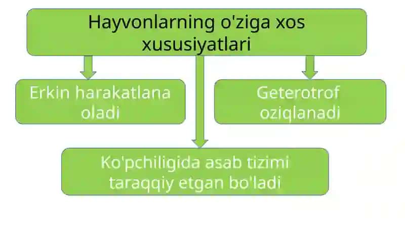 Hayvonotdunyosi 2