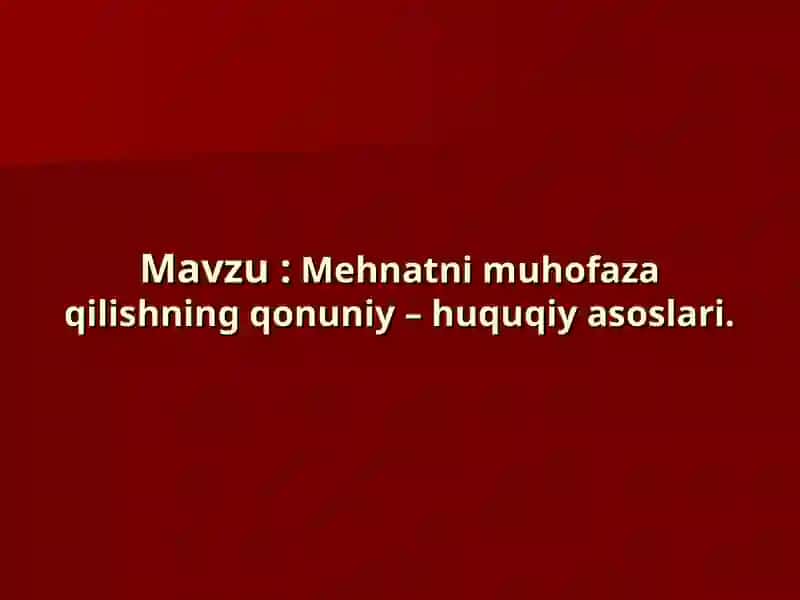 Mehmatni muhofaza qilishning qonuniy – huquqiy asoslari 2