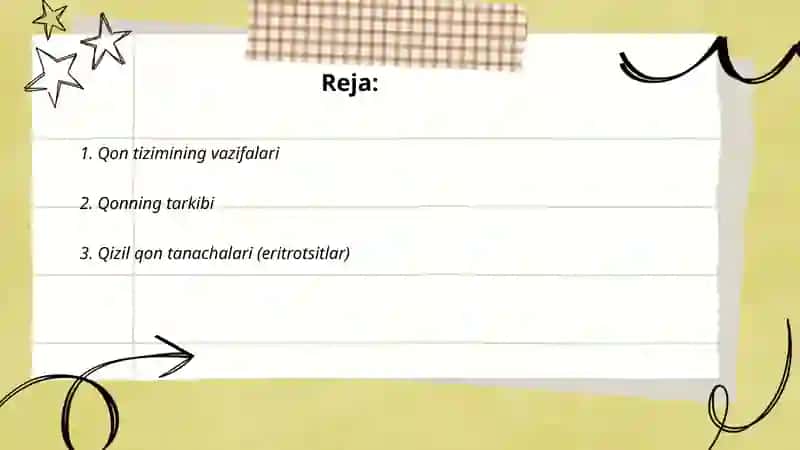 Qon tizimi 2
