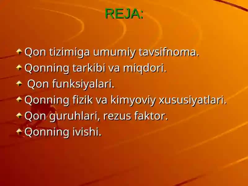 QON FIZIOLOGIYASI 2