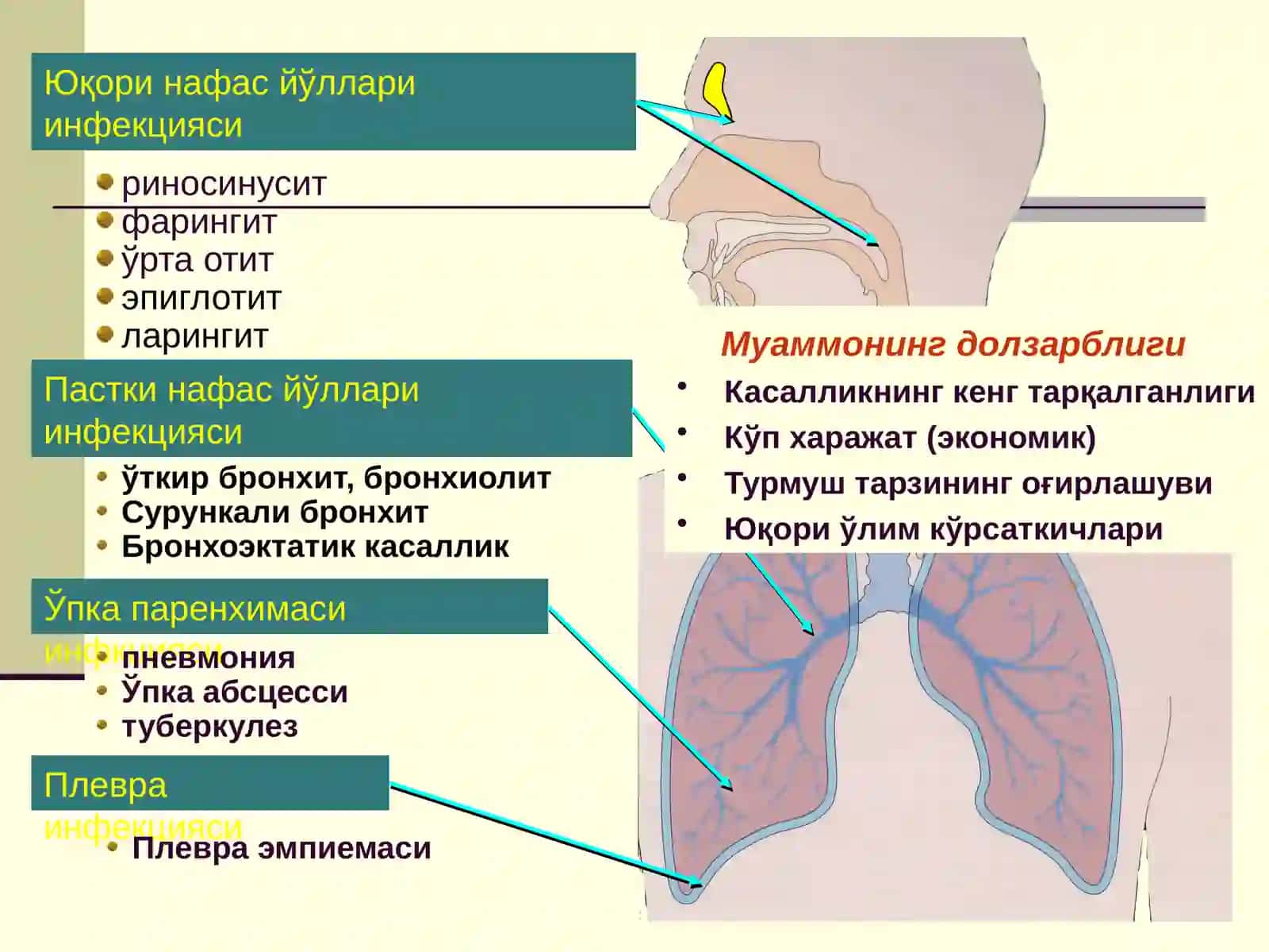 БОЛАЛАРДА ЎТКИР ПНЕВМОНИЯ 2