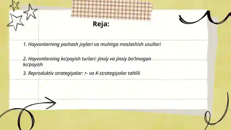 Husanova shohista 2