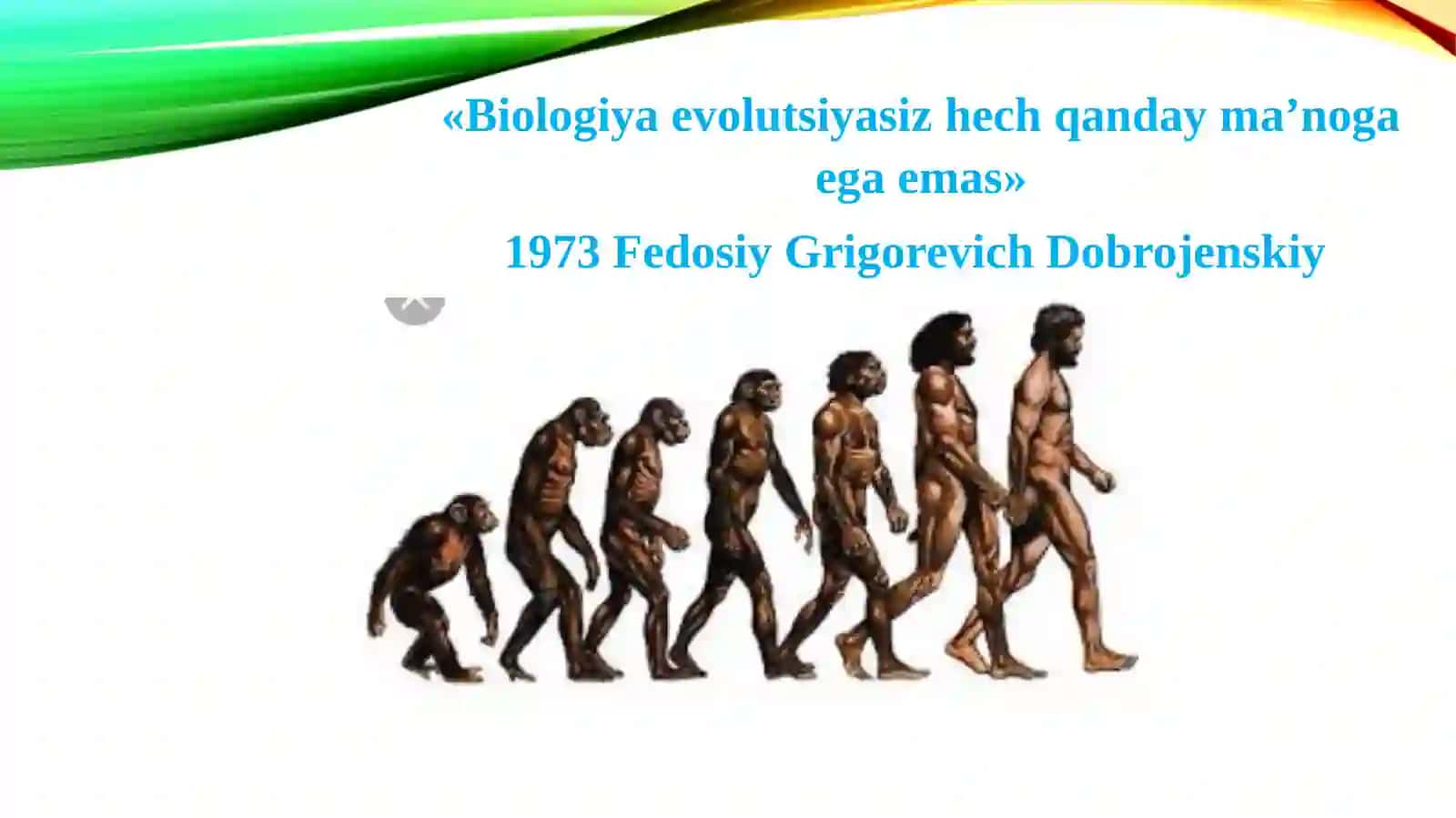 Evolyutsion jarayonlar va ularning umumiyqonuniyatlari 2