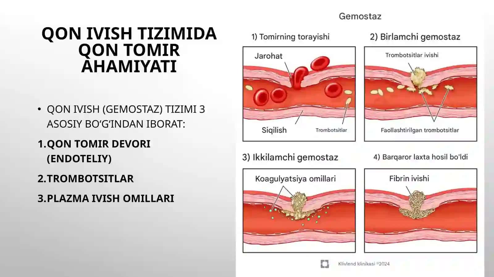 Qon ivish tizimida qon tomir ahamiyati. Vazopatiyalar laborator diagnostikasi. 2