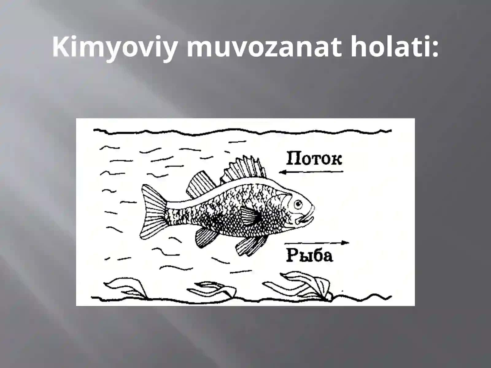kimyoviy  muvozanatga  ta’sir   etuvchi  omillar 2
